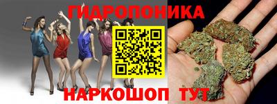 стаф Кинель