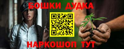 стаф Кинель